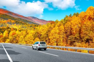 Read more about the article  Is There an Increase in Fatal Car Accidents Over Thanksgiving?