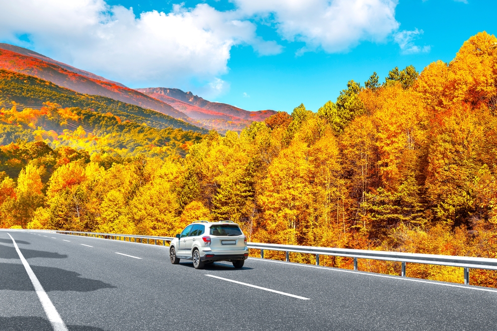 You are currently viewing  Is There an Increase in Fatal Car Accidents Over Thanksgiving?