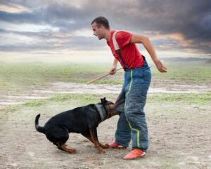 Read more about the article Ohio Dog Bite Law- What are your rights?