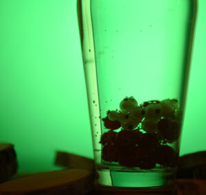 Read more about the article Flint Michigan Residents Continue To Live With Lead Contaminated Water