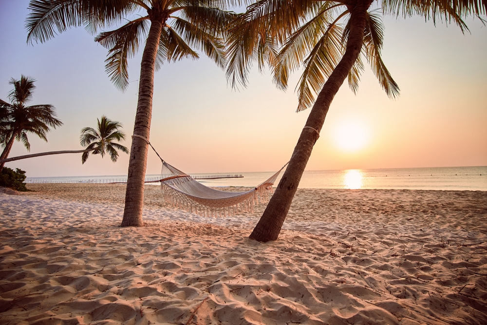 You are currently viewing Attorney Michael Wright Offer Summer Safety Tips